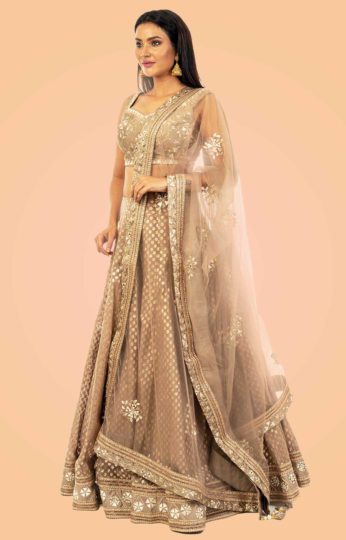 Sepia Banarasi Chanderi Silk Lehenga  – Viraaya By Ushnakmals